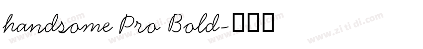 handsome Pro Bold字体转换